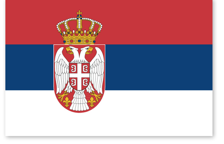 剧透“七彩”丝博会