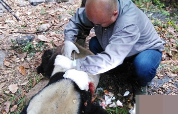 中国核能大会召开在即 兰太实业迎业绩增_新华