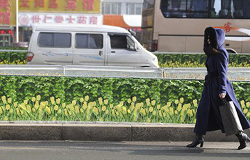 长春 街头现仿真绿化带  画面太美犹如穿越回夏