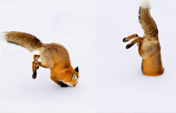 省政协党组班子召开三严三实专题民主生活会