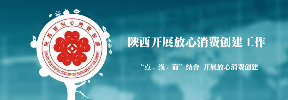 陕西消费服务平台
