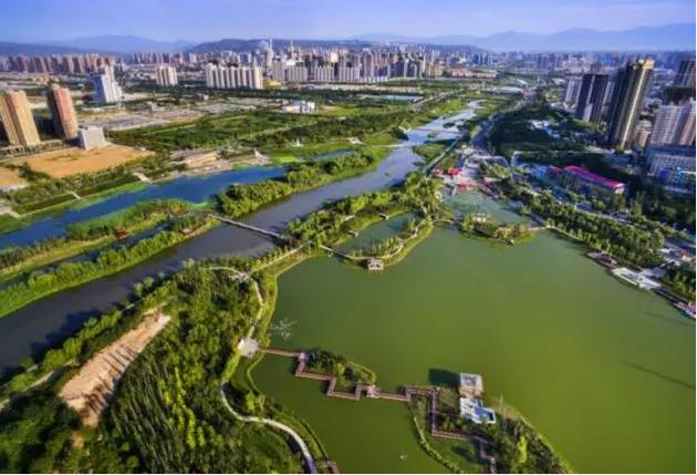 城市湿地展现绿色“新动力”