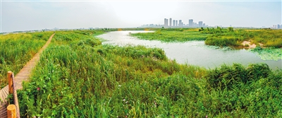 浐灞生态区:让河流休养生息 让生态流入城市