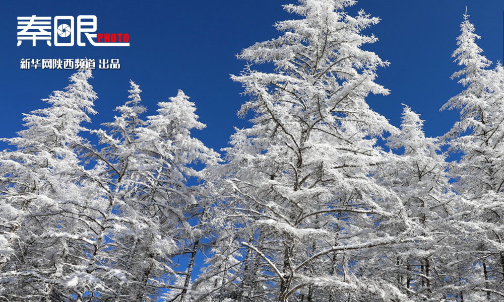 雪后初霁的秦岭 宛如人间仙境