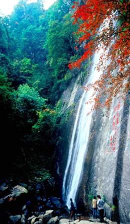 這五年 寶雞旅遊風景獨好