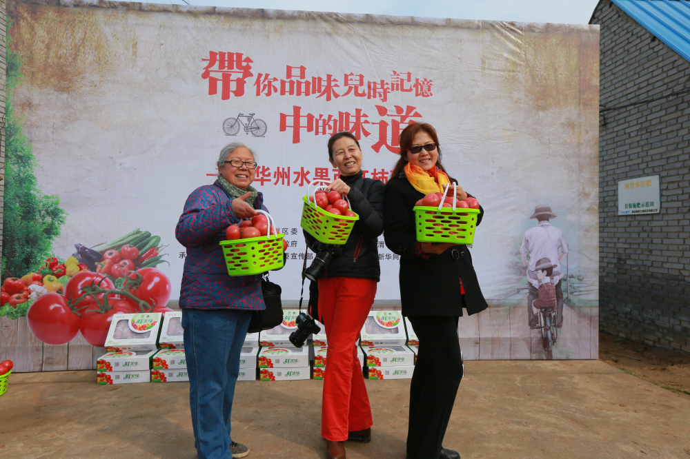 美食品鉴团华州区蔬菜种植基地里享受采摘乐趣