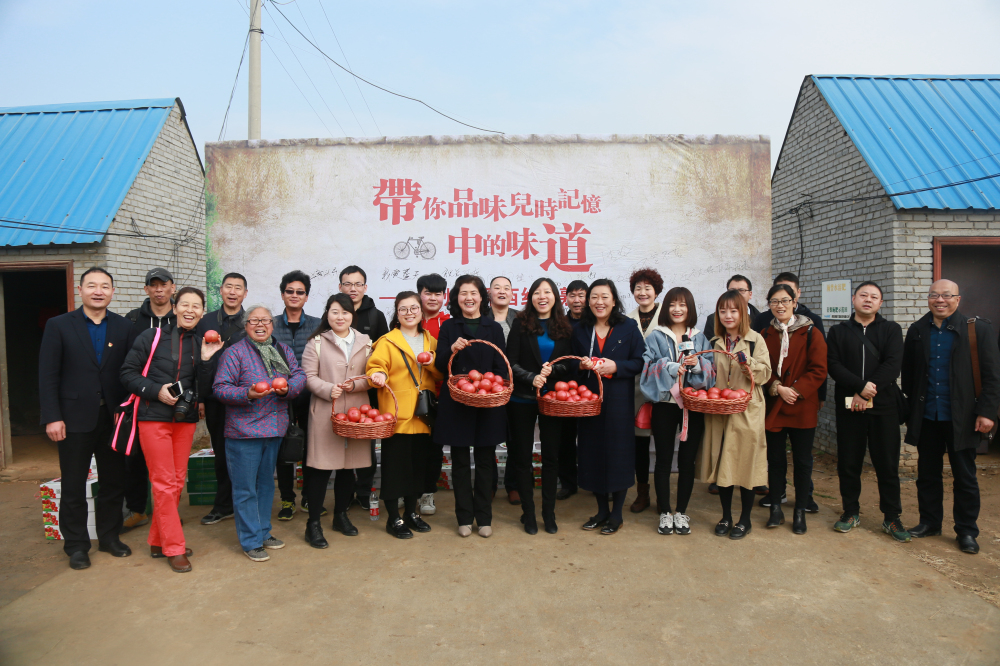 华州“水果西红柿”熟了品鉴活动在渭南市华州区举办