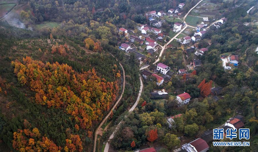 秦岭腹地：青山就是好日子的“靠山”