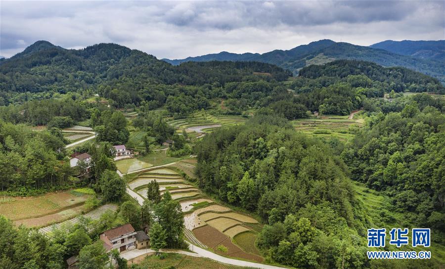 秦巴小山村的华丽蜕变