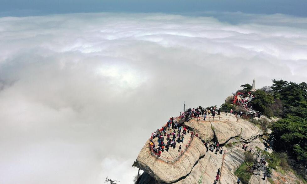 西岳華山：壯麗雲海入畫來