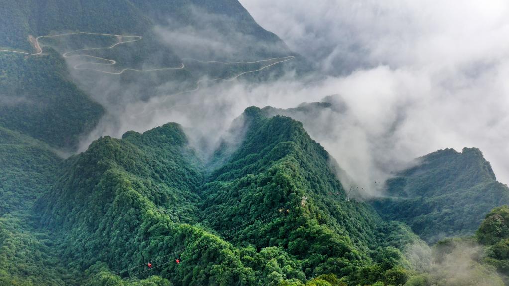 雲卷雲舒龍頭山