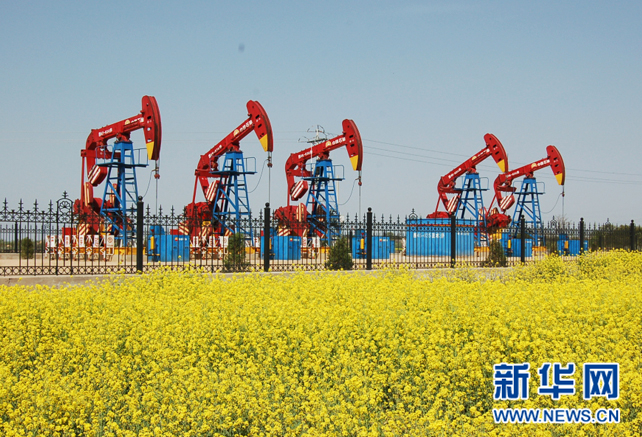 打造有中国特色的现代“油公司”模式