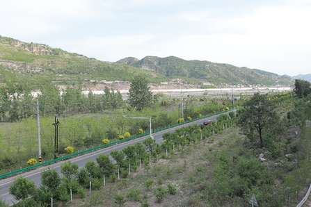 陕西吴堡：全力打造沿黄绿色生态廊道