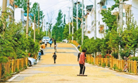 西安鄠邑：農技服務到田間助力糧食“雙搶”