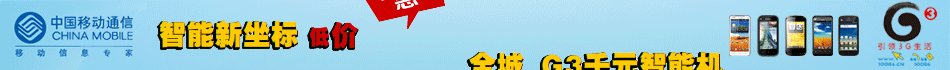 陕西移动（2013）